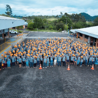 Más de 2.000 colaboradores